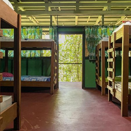 Corcovado Adventures Hostel Drakes Bay Екстериор снимка
