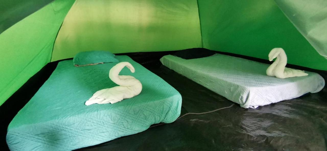 Corcovado Adventures Hostel Drakes Bay Екстериор снимка