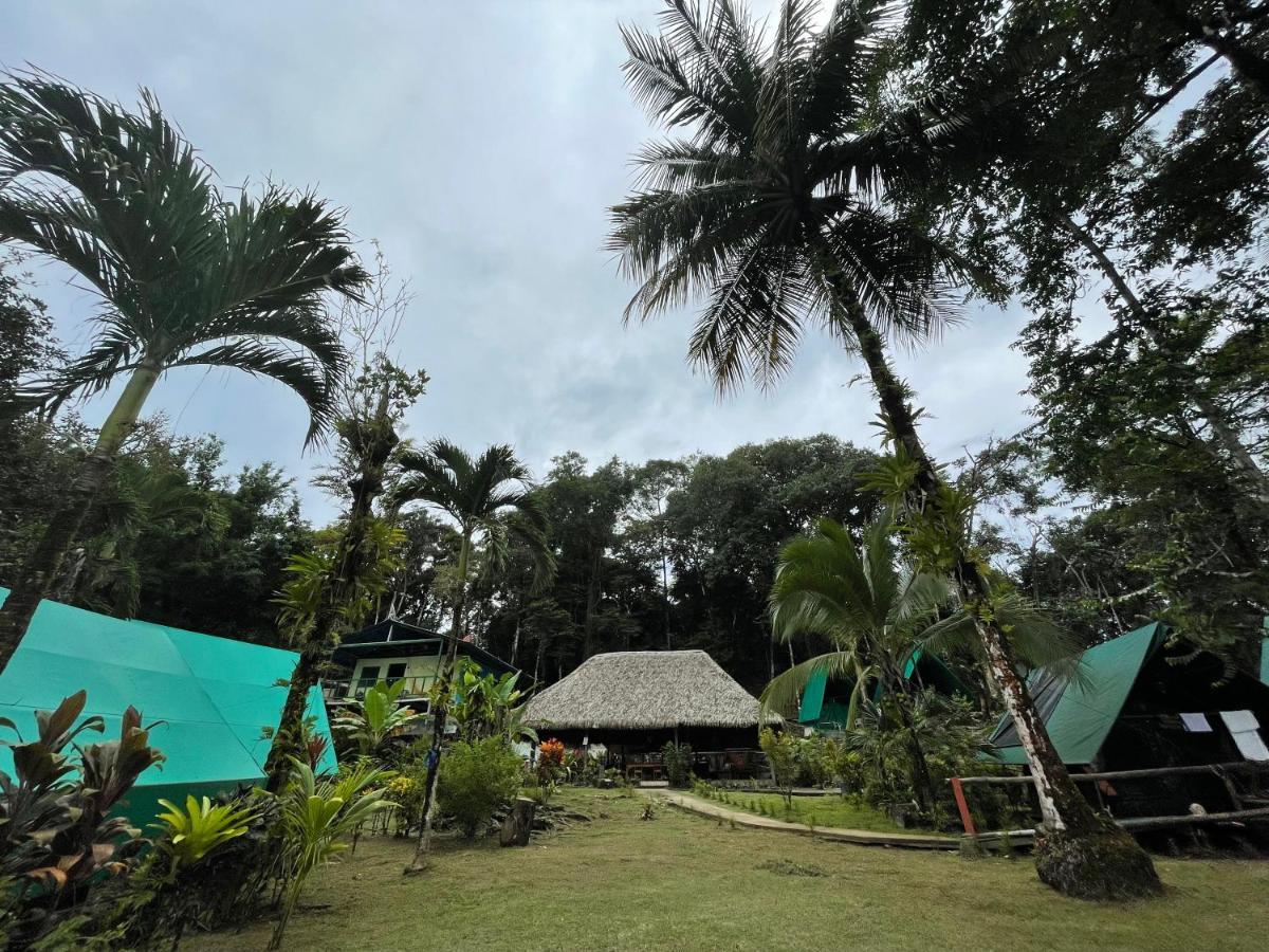 Corcovado Adventures Hostel Drakes Bay Екстериор снимка