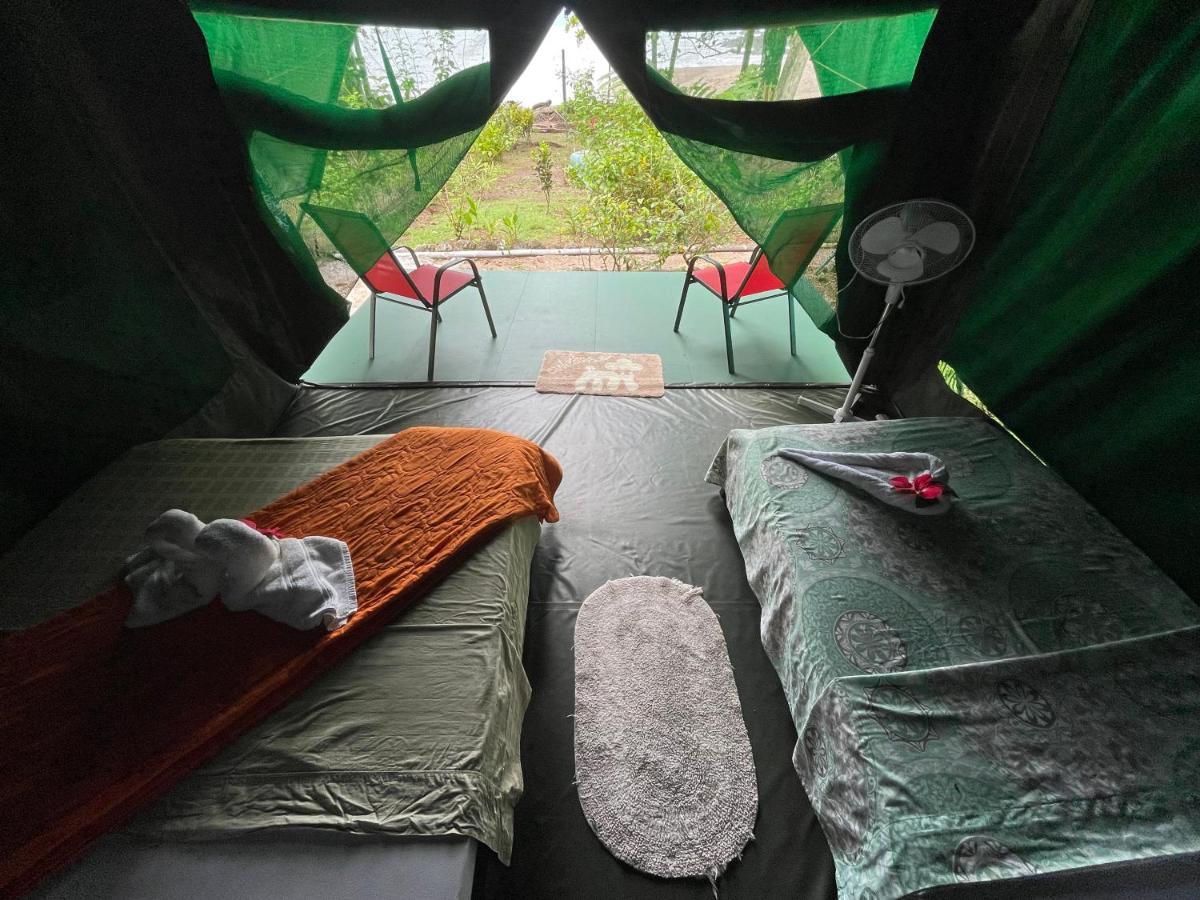 Corcovado Adventures Hostel Drakes Bay Екстериор снимка