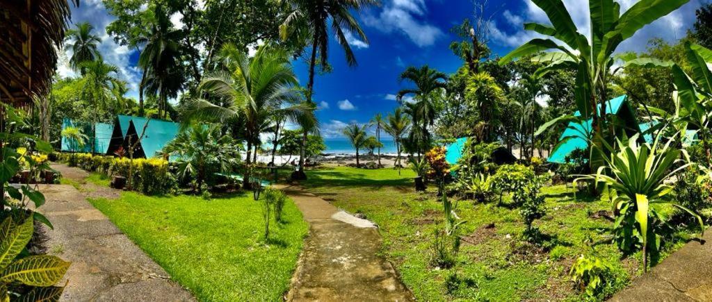 Corcovado Adventures Hostel Drakes Bay Екстериор снимка