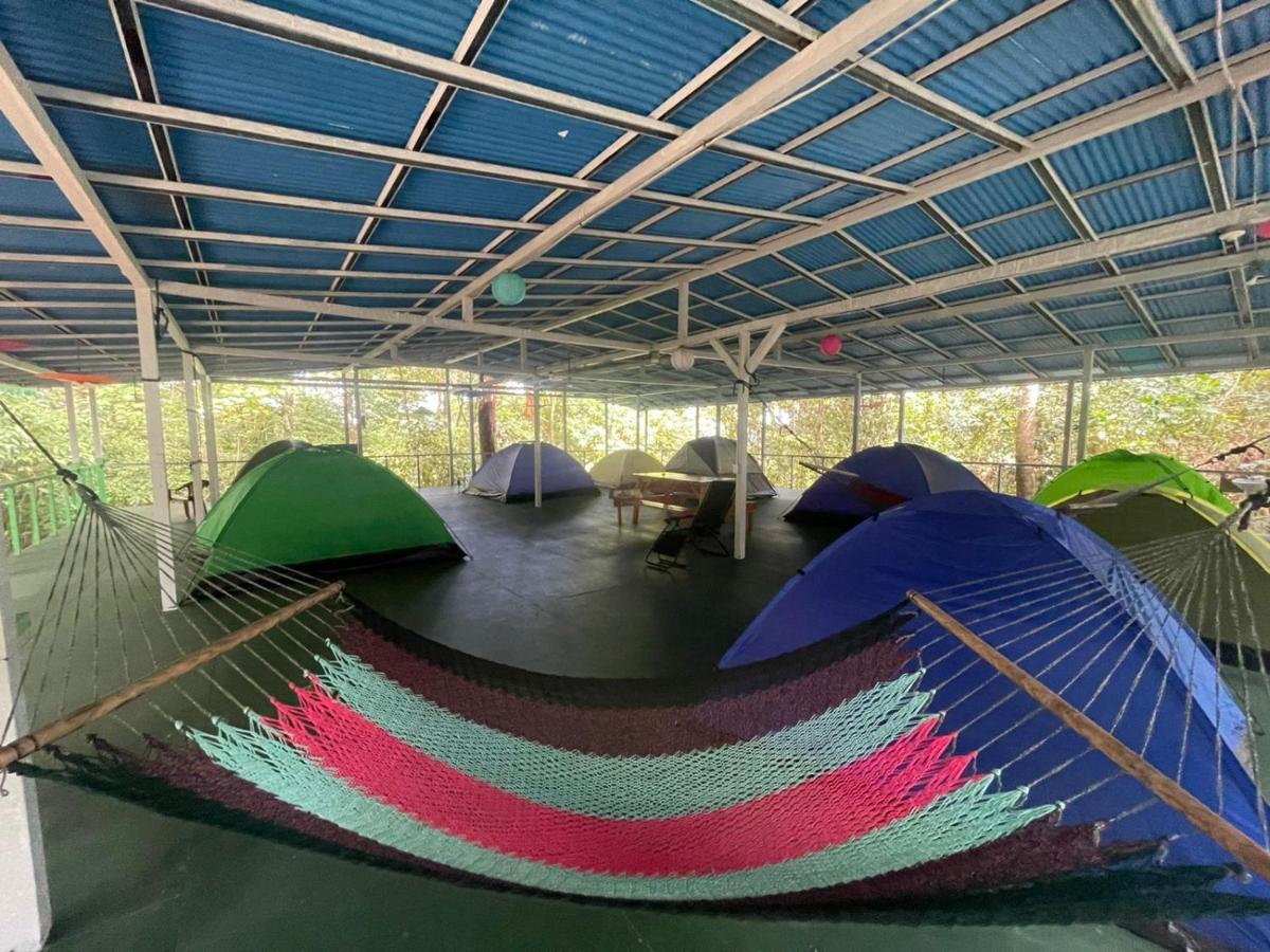Corcovado Adventures Hostel Drakes Bay Екстериор снимка