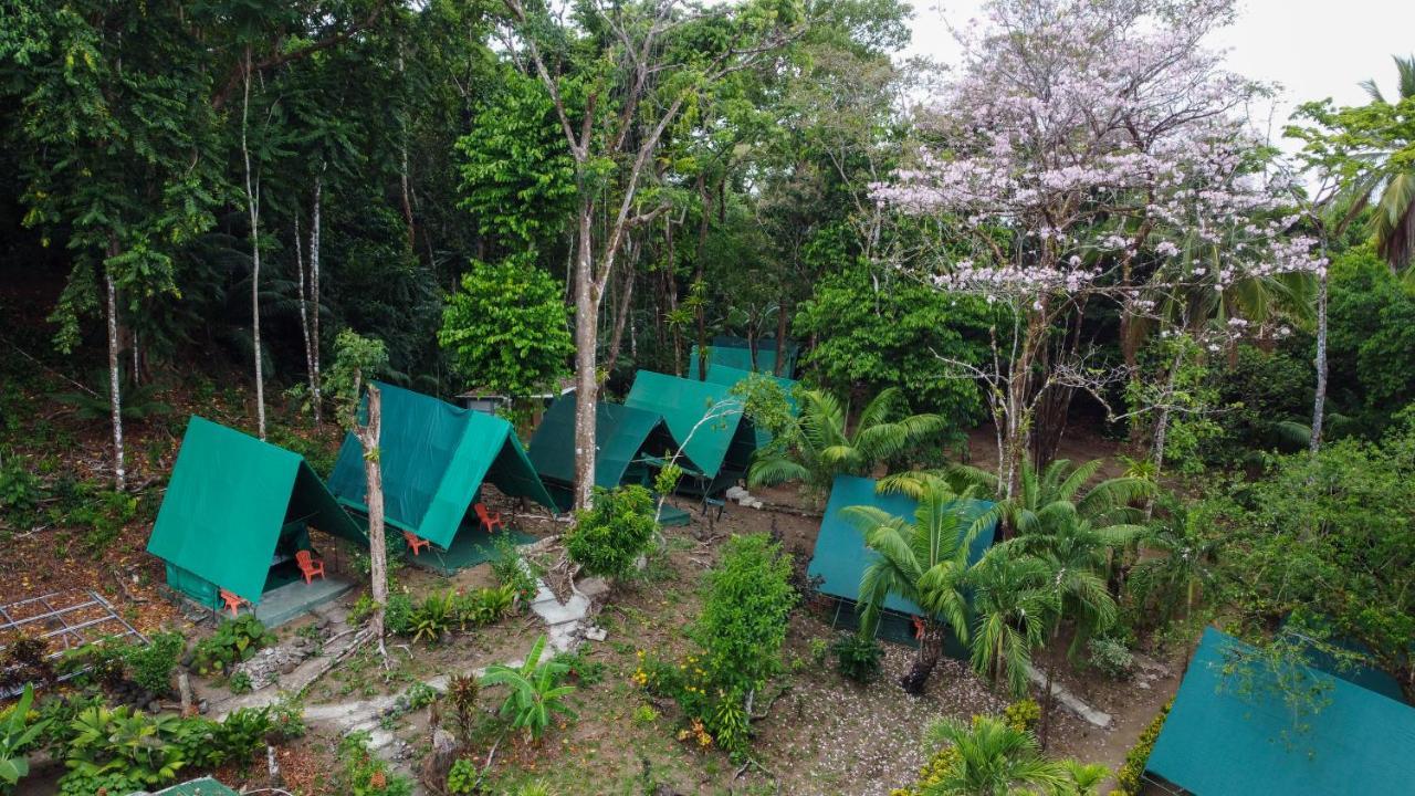 Corcovado Adventures Hostel Drakes Bay Екстериор снимка