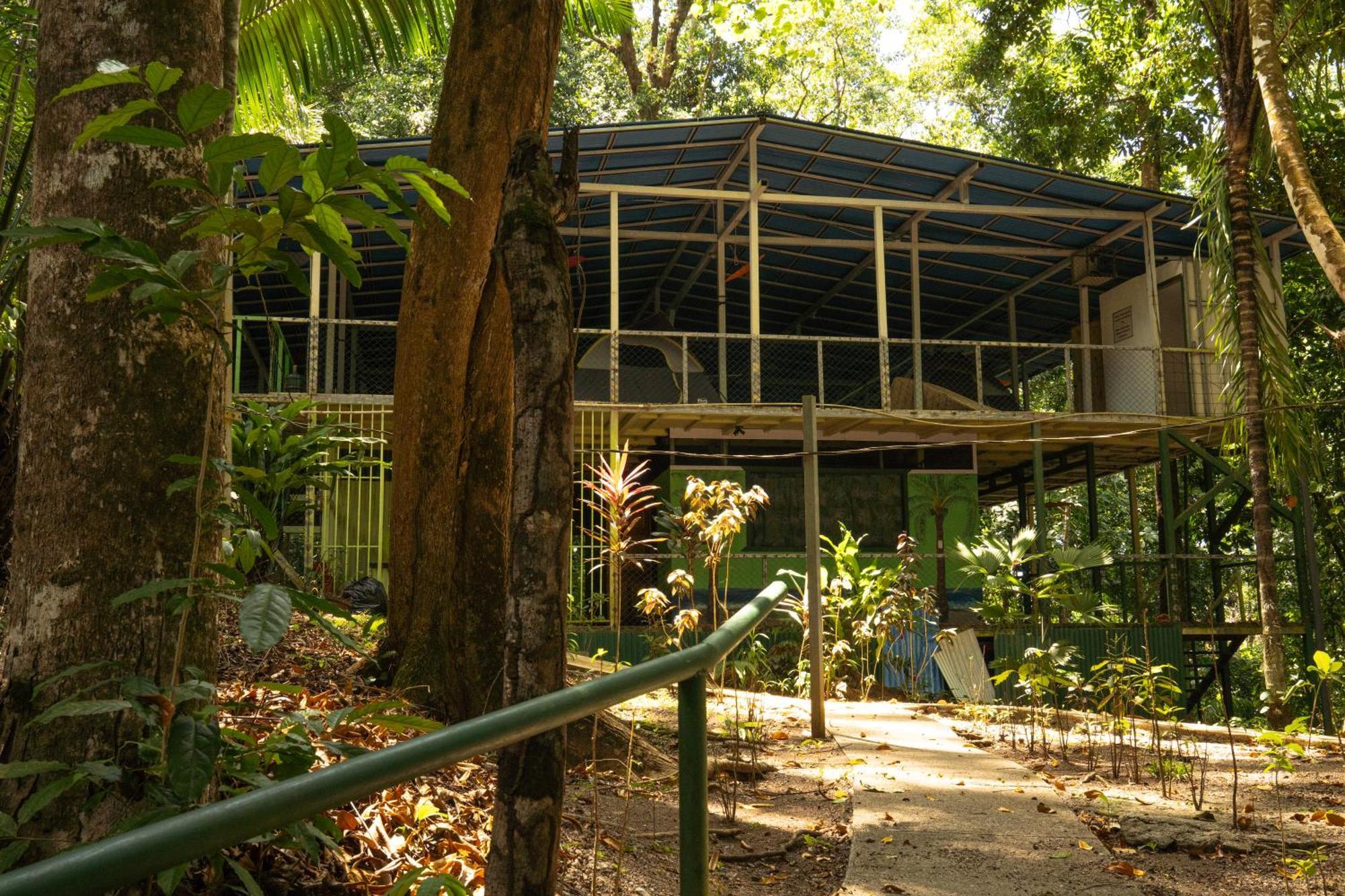 Corcovado Adventures Hostel Drakes Bay Екстериор снимка