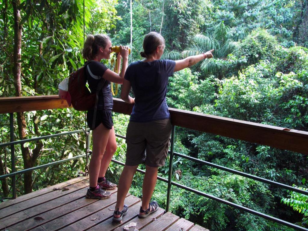 Corcovado Adventures Hostel Drakes Bay Екстериор снимка